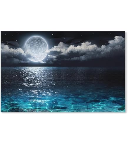 Amazon.co.jp: スターリーテイルズ the Zodiac by KAGAYA 1000ピース